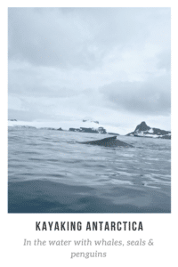 Kayaking in the Antarctic