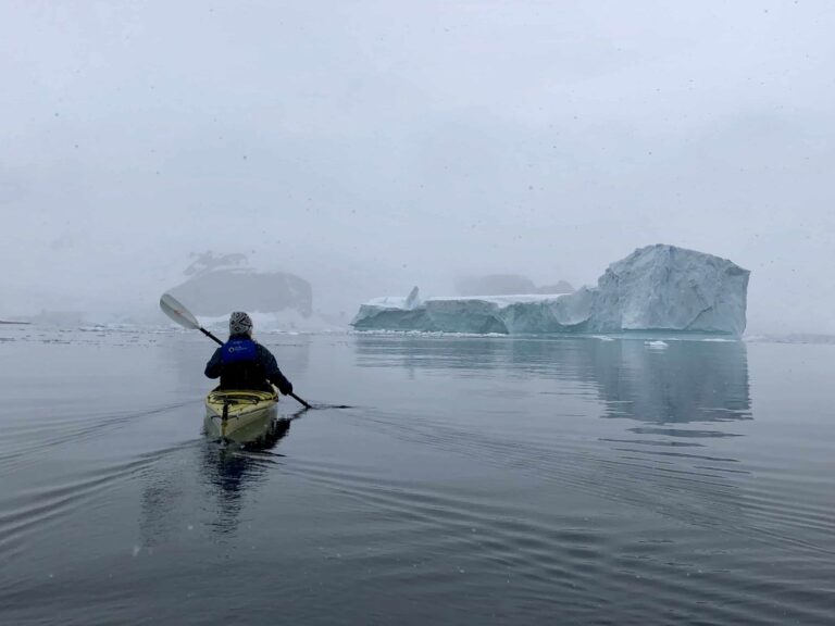 In the Water with Penguins, Whales and Seals—Kayaking in the Antarctic