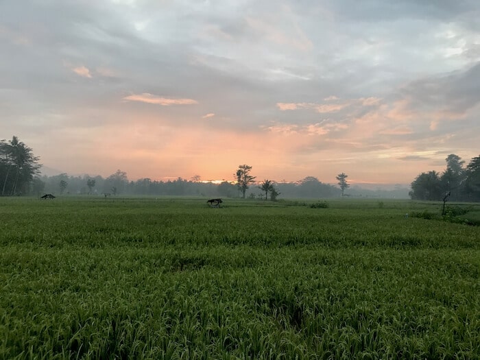 Sunrise Jogyakarta Indonesia
