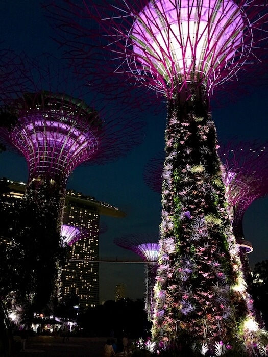 Super Trees at night Crazy Rich Asians Singapore