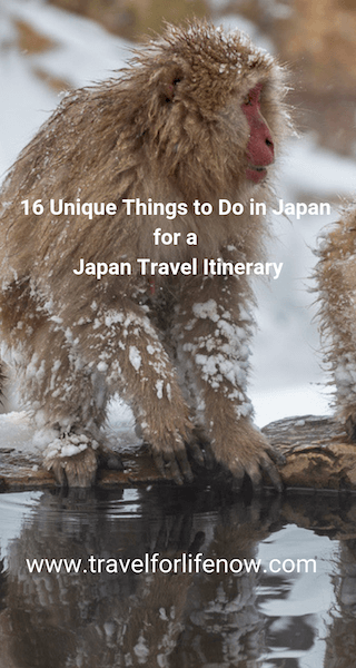 Find out the best things to do in Japan. 16 Unique Things to Do in Japan for a Japan Travel Itinerary by travel bloggers from around the world. #travelforlifenow #visitJapan #uniqueThingsToDoJapan