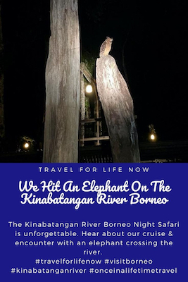 The Kinabatangan River Borneo Night Safari is unforgettable. Hear about our cruise & encounter with an elephant crossing the river. #travelforlifenow #visitborneo #kinabatanganriver #onceinalifetimetravel