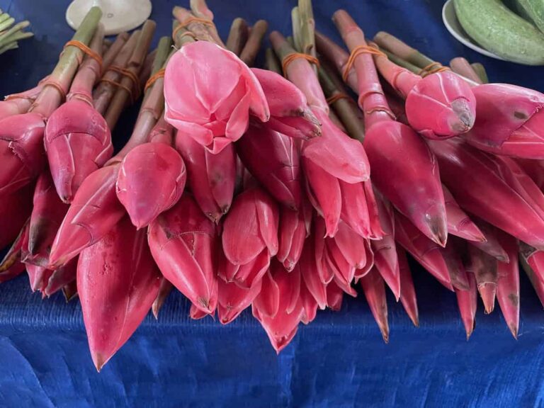 photo of pink Ginger Flowers at the Satok Wet Market. The flowers are used for cooking.