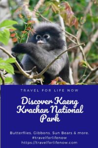 Pin of sharing the post on Kaeng Krachan National Park