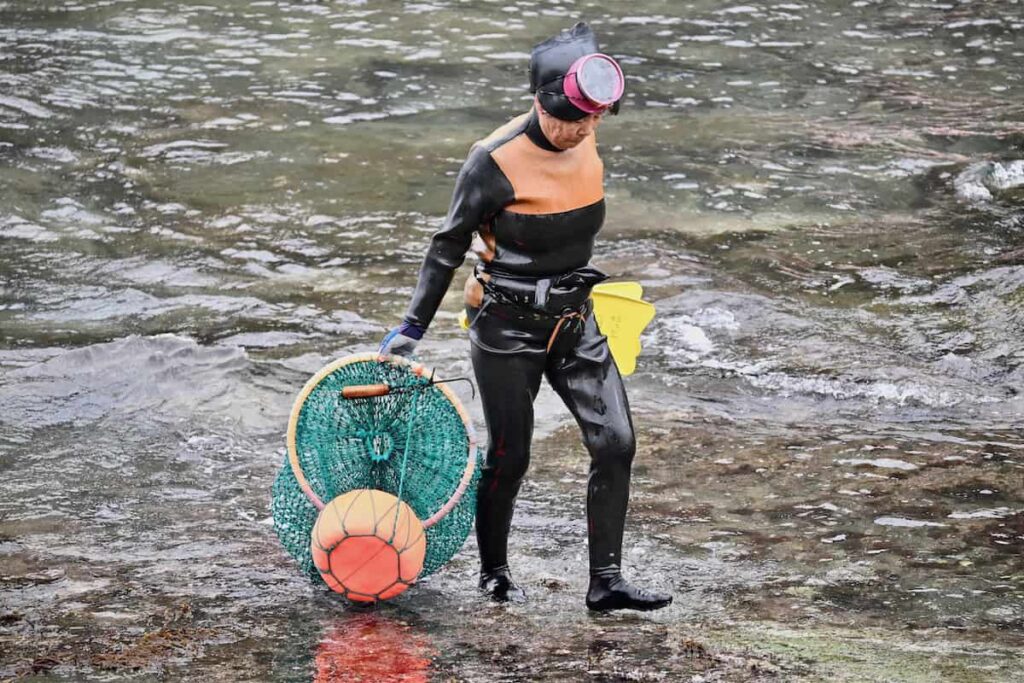 Haenyeo Women Diver in wet suit Walking on the shore