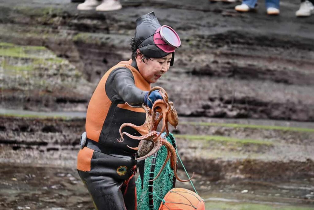 Women in wet suit holding a small octopus, Haenyeo Women Diver